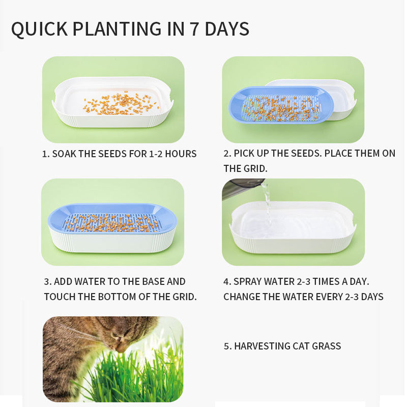 Hydroponic Cat Grass Kit