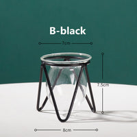 Transparent Glass Vase