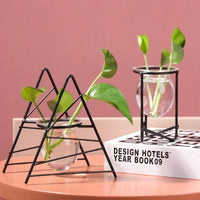 Transparent Glass Vase