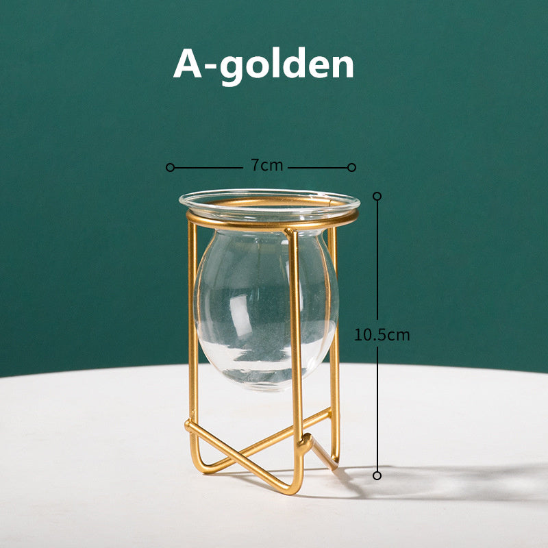 Transparent Glass Vase
