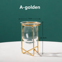 Transparent Glass Vase