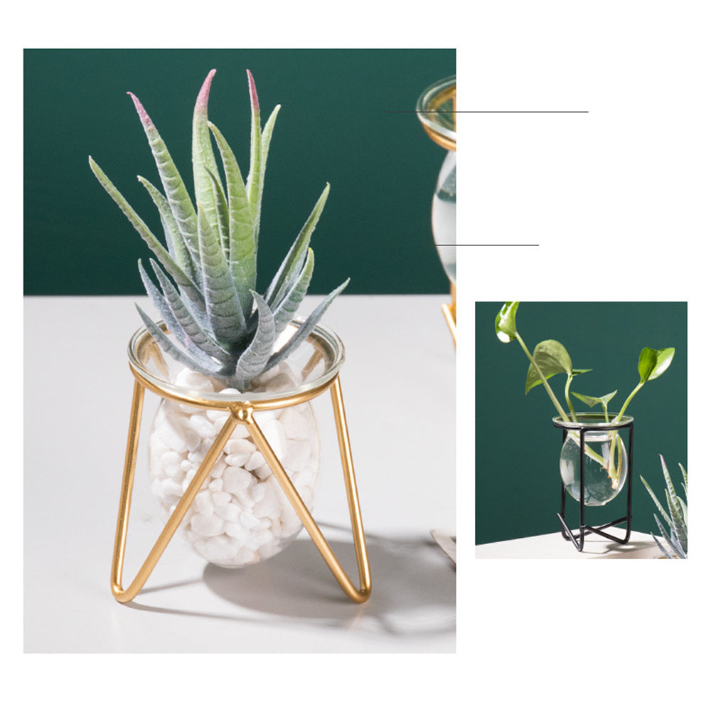 Transparent Glass Vase