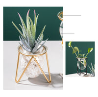 Transparent Glass Vase