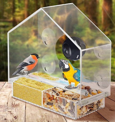 Smart Bird Feeder with Live Camera