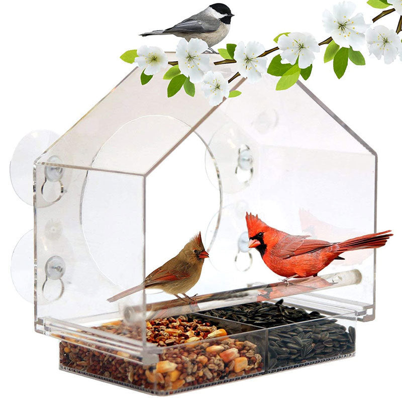 Smart Bird Feeder with Live Camera