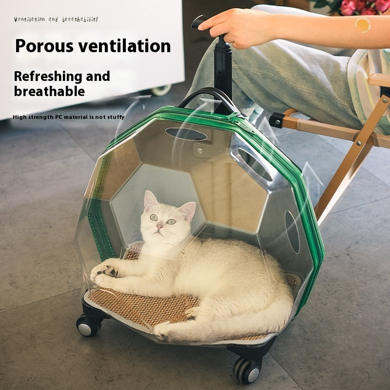 Portable Transparent Pet Trolley Suitcase.
