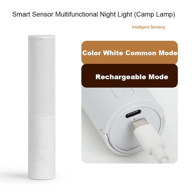 Motion sensor LED night light.