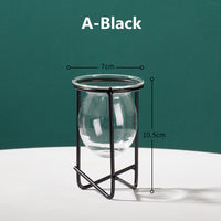 Transparent Glass Vase
