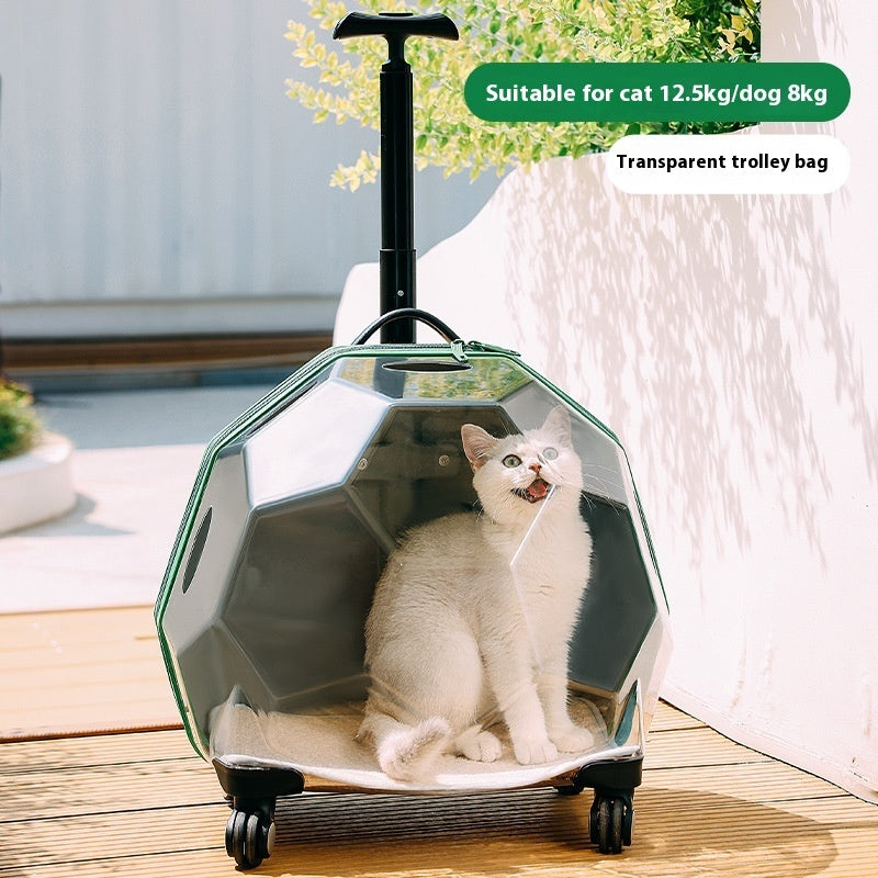 Portable Transparent Pet Trolley Suitcase.