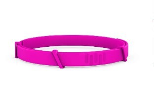 Flea-Proof Insect Repellent Collar