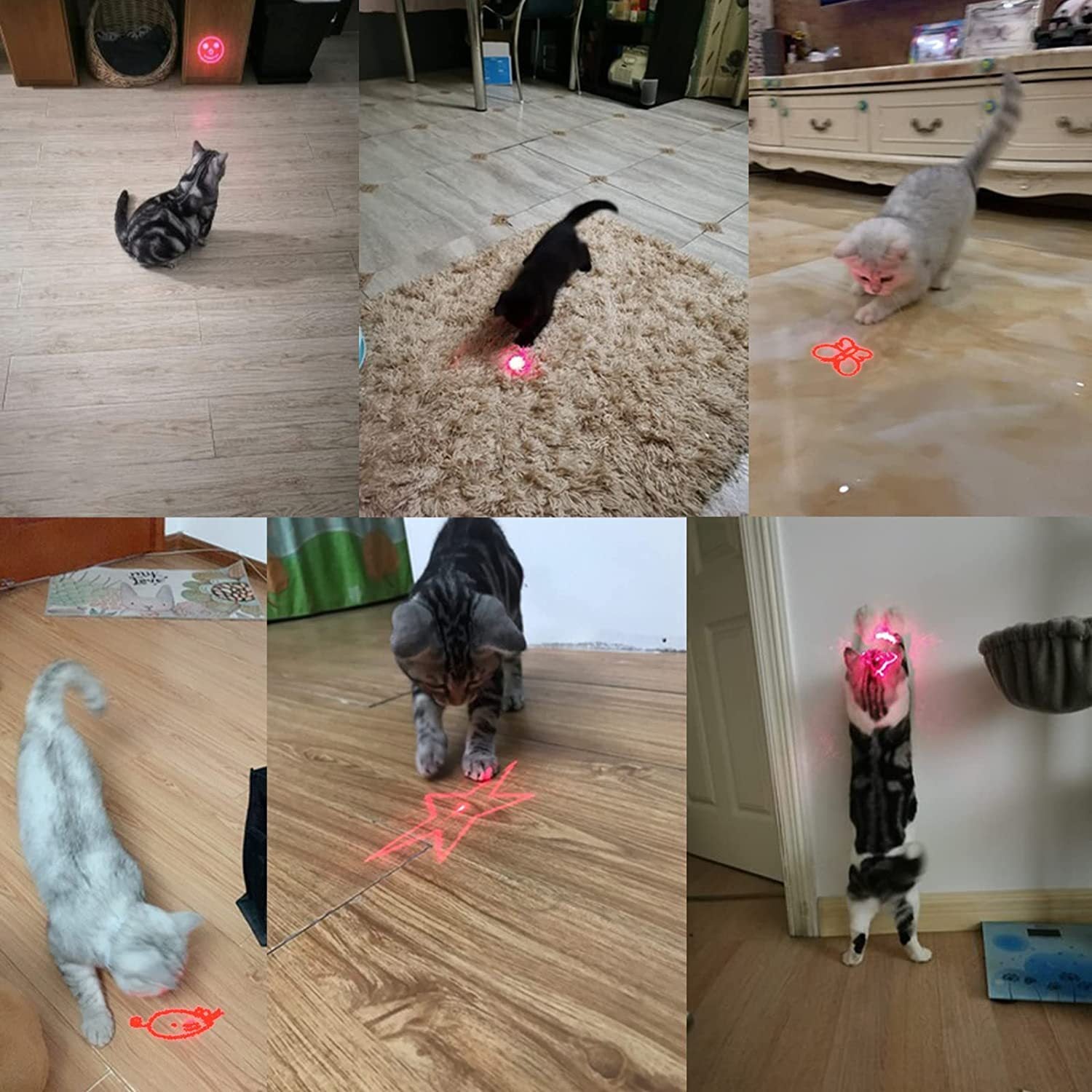 Multifunctional Fashion Pet Cat Toy