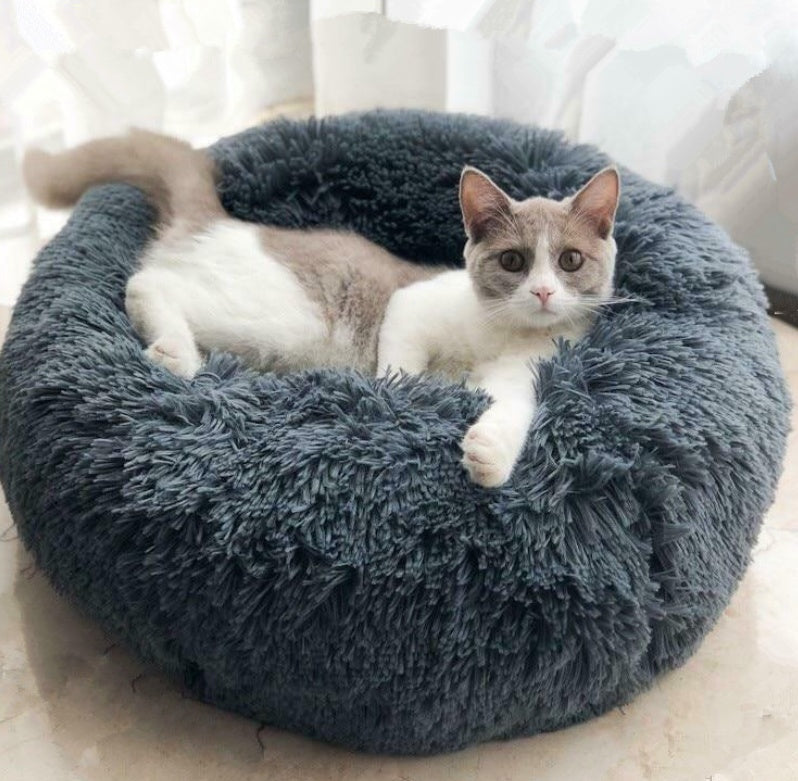 Custom box pet bed