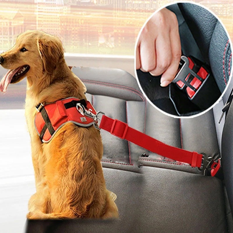Adjustable pet car seat belt harness.