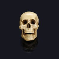 Halloween skull model