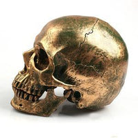 Halloween resin skull