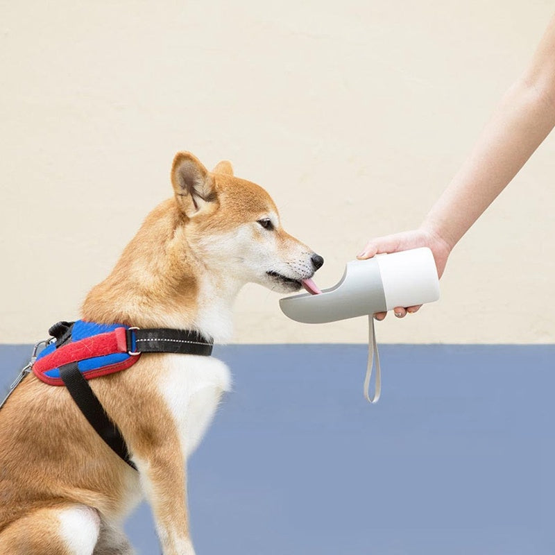 Pet Water Bottle