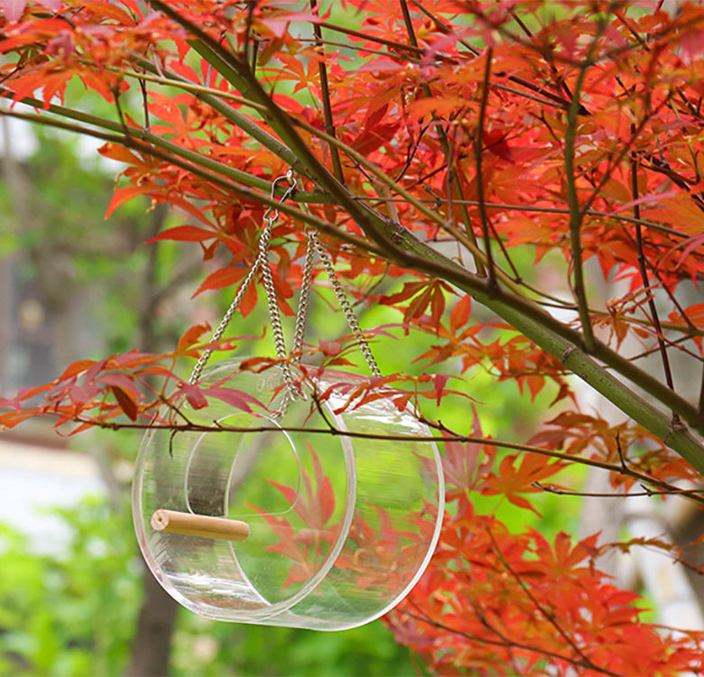 Acrylic Bird Food Box