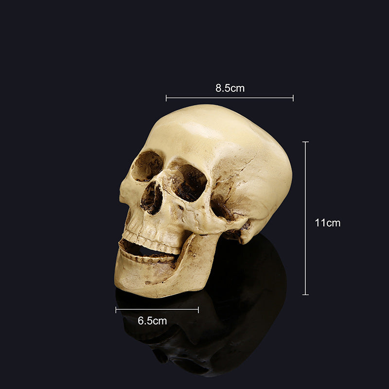 Halloween skull model