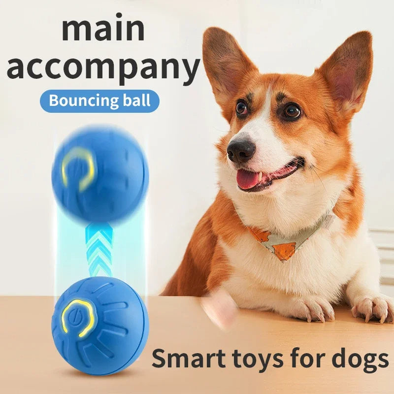 Electronic Interactive Pet Toy Ball