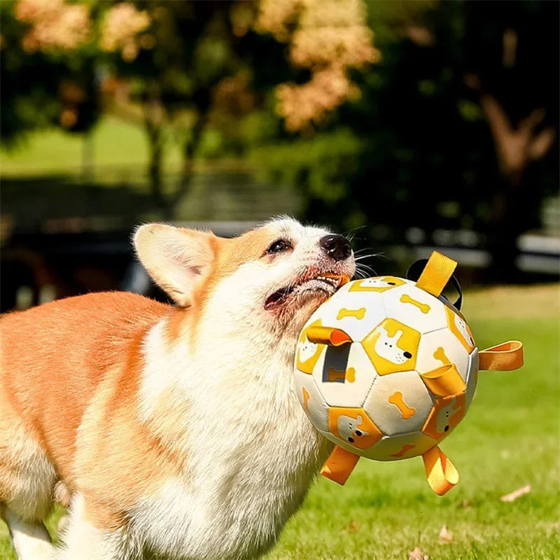 Interactive soccer ball toy for dogs