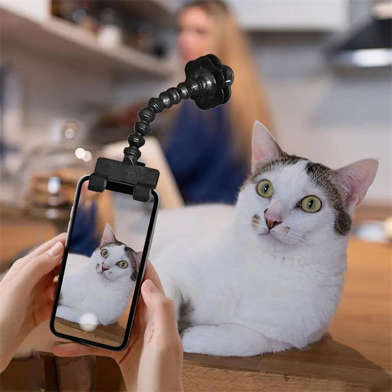 Pet selfie camera holder.