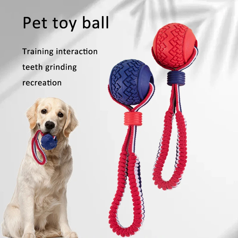 Interactive dog toy ball with rope.