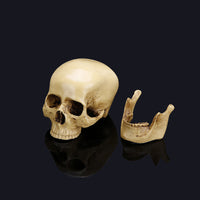 Halloween skull model