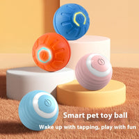 Electronic Interactive Pet Toy Ball