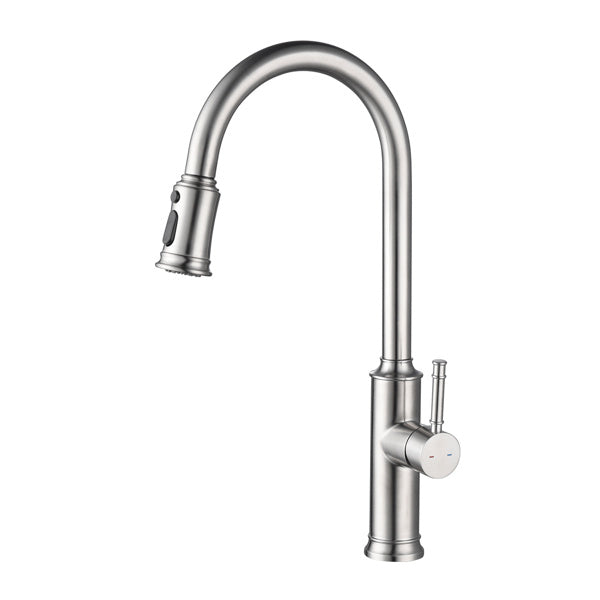 Pulling Nozzle Kitchen Faucet