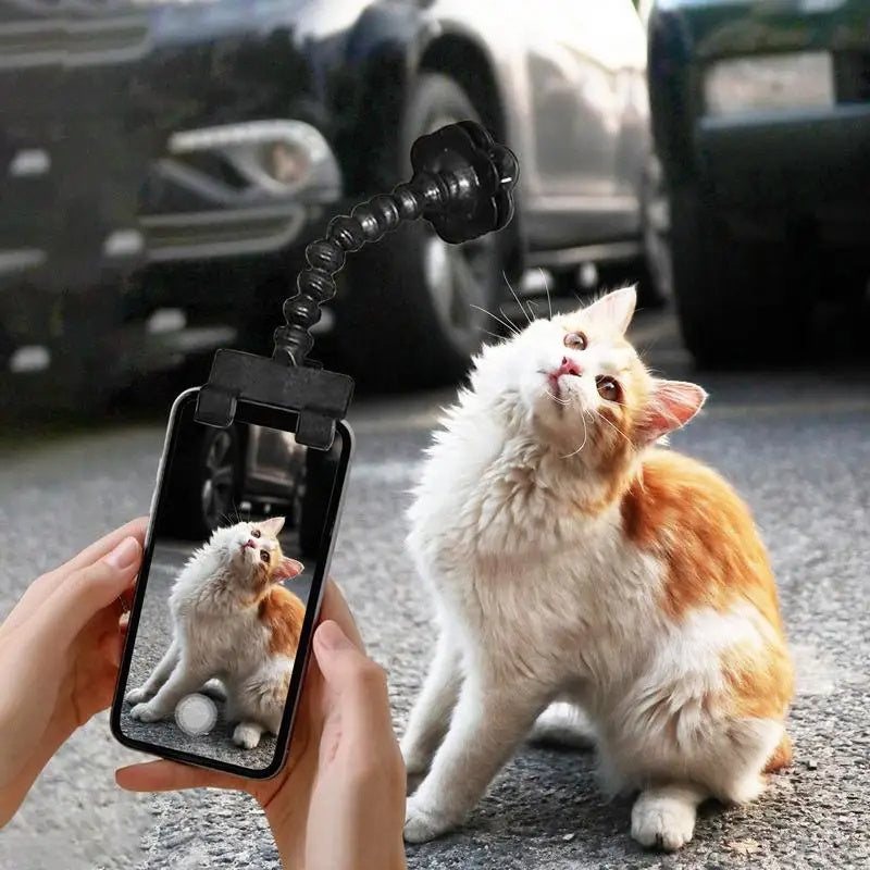 Pet selfie camera holder.