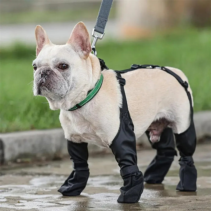 Adjustable waterproof dog shoes.