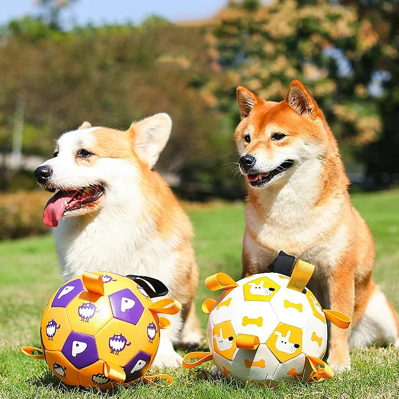 Interactive soccer ball toy for dogs