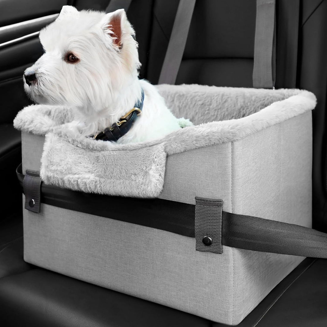 Portable Dog Car Booster Seat with Safety Leash