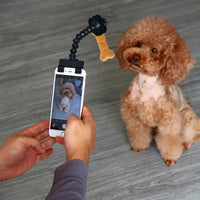 Pet selfie camera holder.
