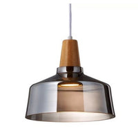 Modern LED Glass Pendant Light Fixture