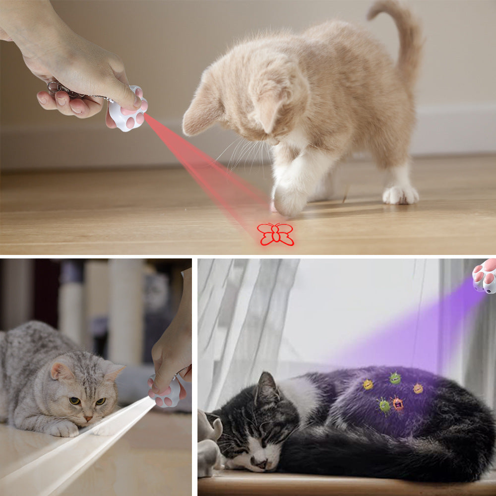 Multifunctional Fashion Pet Cat Toy