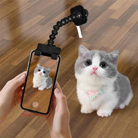 Pet selfie camera holder.