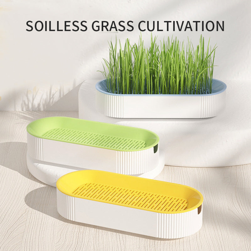 Hydroponic Cat Grass Kit