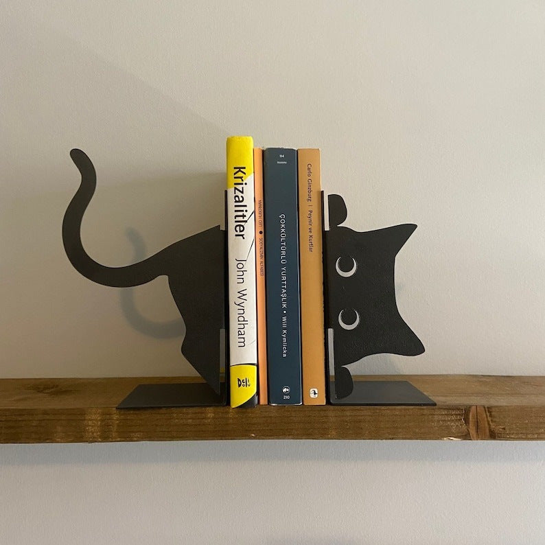 New Indoor Bookshelf Decor.