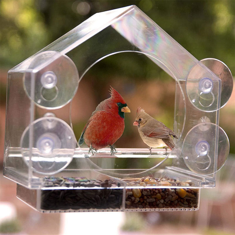 Smart Bird Feeder with Live Camera