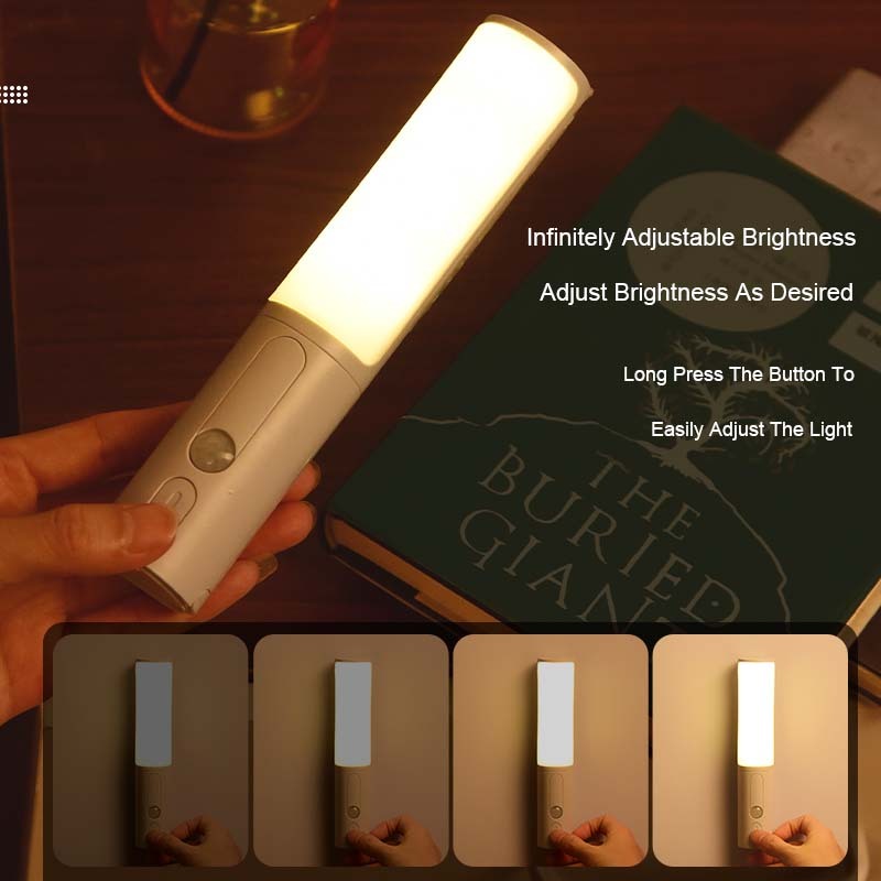 Motion sensor LED night light.