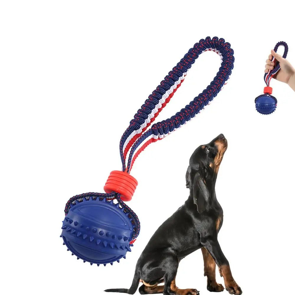 Interactive dog toy ball with rope.