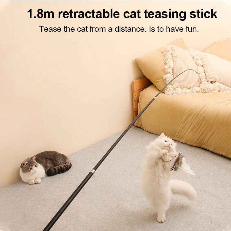 Extendable cat-teasing stick with feather.