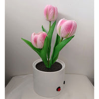 LED Tulip Night Light with Potted Flower Design